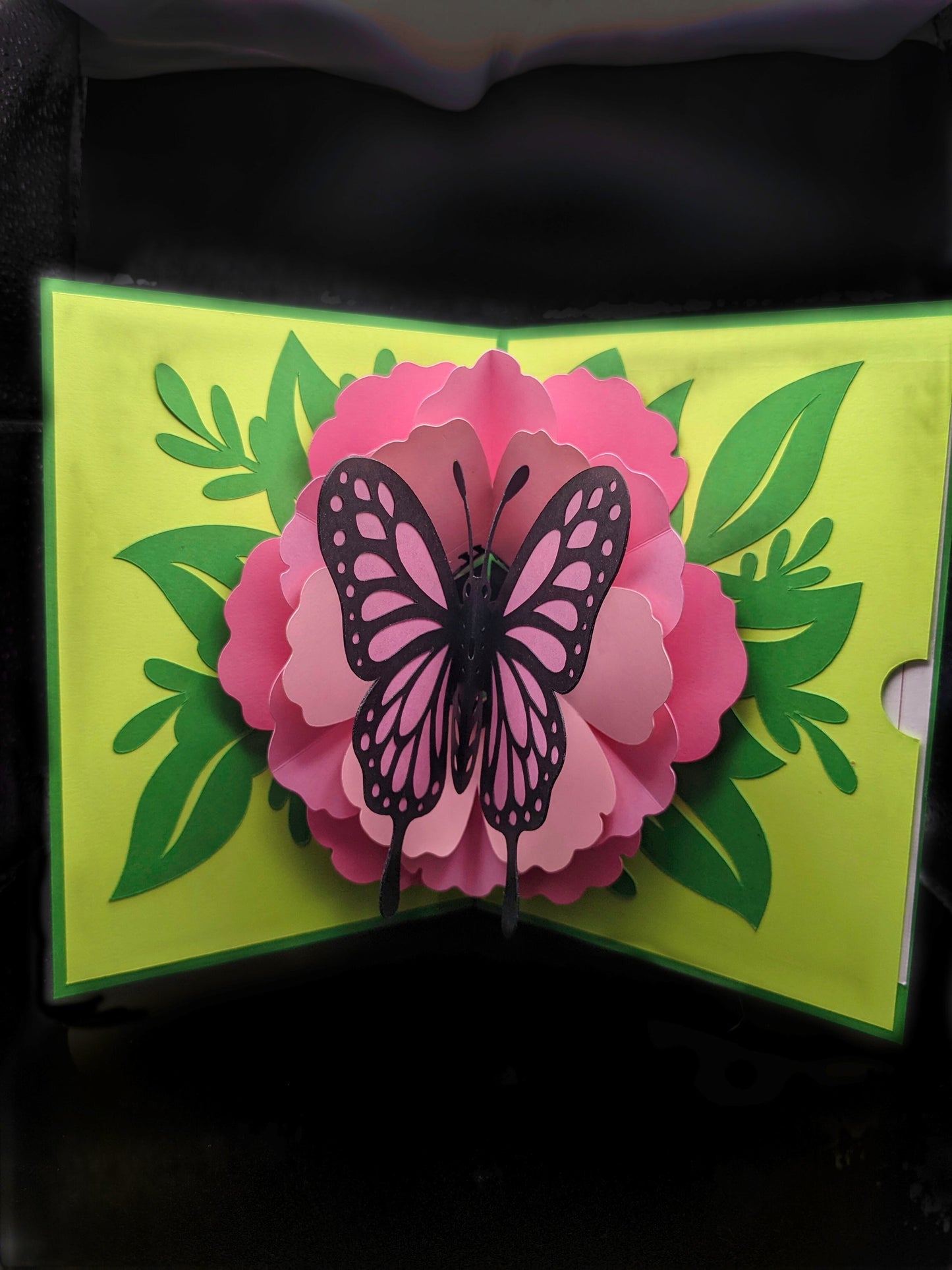 Popout Butterfly Greeting Card