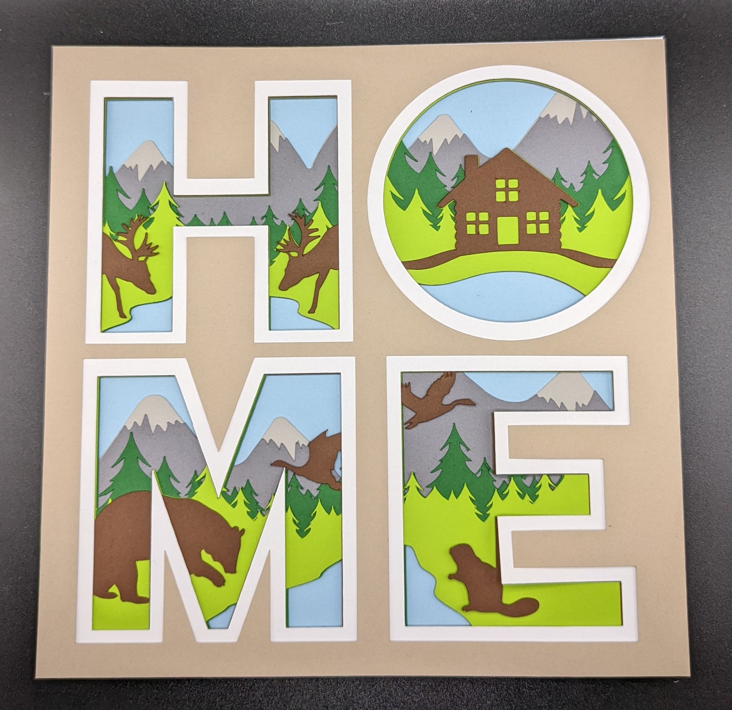 "Home" Mountains Shadow Box