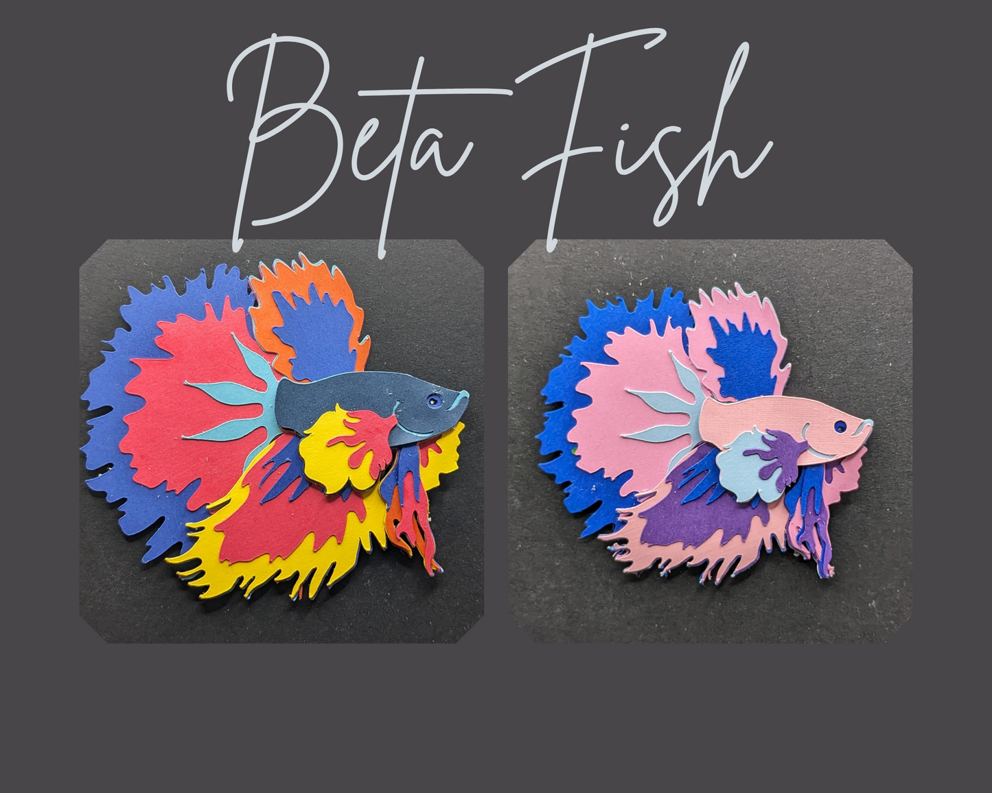 Beta Fish Magnet
