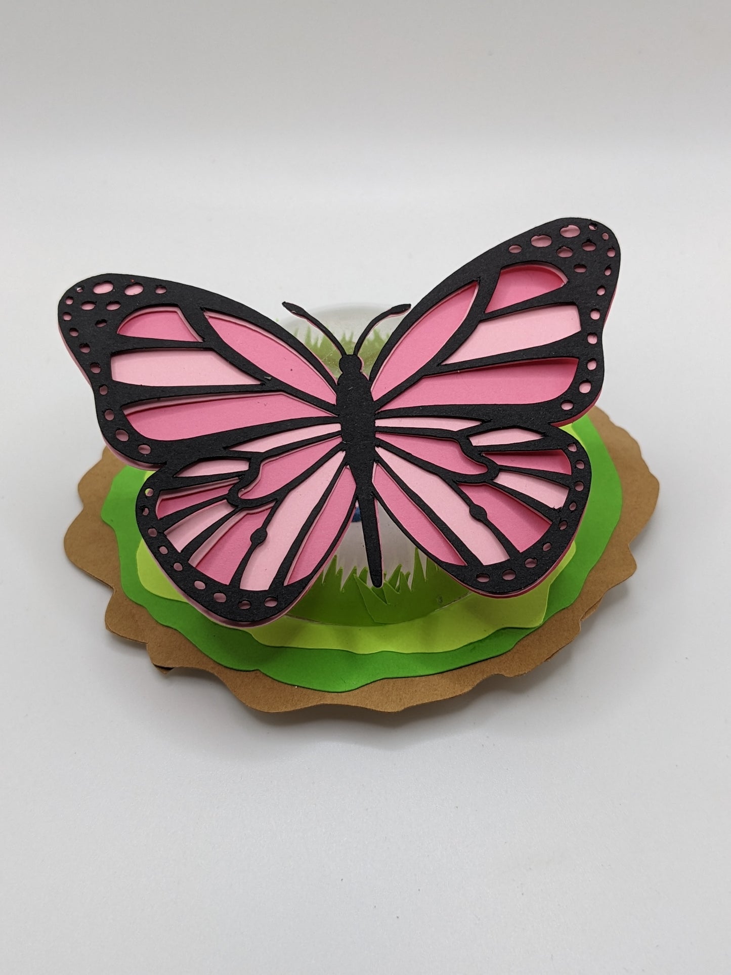 Refillable Butterfly Garden Dome