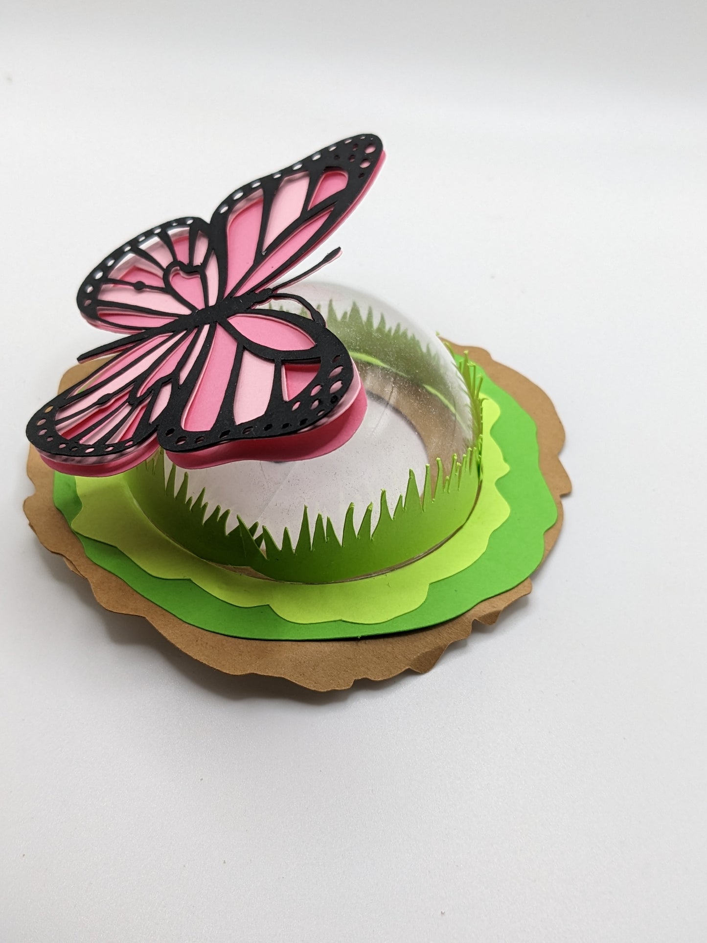 Refillable Butterfly Garden Dome